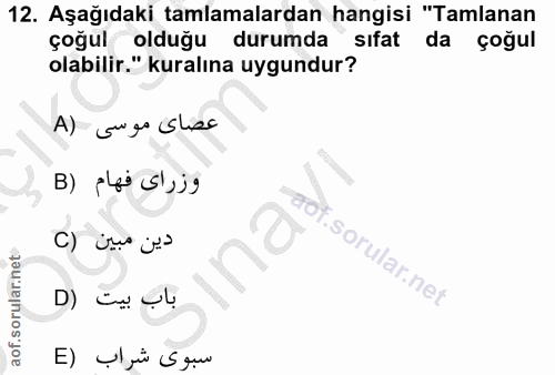 12. soru: Aşağıdaki tamlamalardan hangisi "Tamlanan çoğul olduğu durumda sıfat da çoğul olabilir." kuralına uygundur? A) su go…
