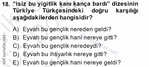 18. soru: "isiz bu yigitlik kanı kança bardı" dizesinin Türkiye Türkçesindeki doğru karşılığı aşağıdakilerden hangisidir? A) Ey…