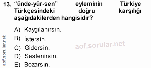 13. soru: "ünde-yür-sen" eyleminin Türkiye Türkçesindeki dogru Karşılığı aşağıdakilerden hangisidir? A) Kaygılanırs ın. B) İste…
