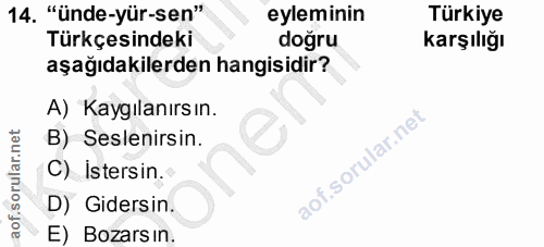 14. soru: "ünde-yür-sen" eyleminin Türkiye Türkçesindeki doğru karşılığı aşağıdakilerden hangisidir? A) Kaygılanırs ın. B) Sesl…