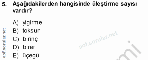 5. soru: Aşağıdakilerden hangisinde üleştirme sayısı vardır? A) yıgırme B) toksun C) birinç D) birer E) üçegü