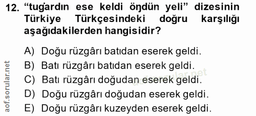 12. soru: "tugardın ese keldi öndün yeli" dizesinin Türkiye Türkçesindeki doğru karşılığı aşağıdakilerden hangisidir? A) Doğu r…