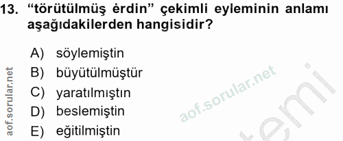 13. soru: "törütülmüş erdin" çekimli eyleminin anlamı aşağıdakilerden hangisidir? A) söylemiştin B) büyütülmüştür C) yaratılmış…