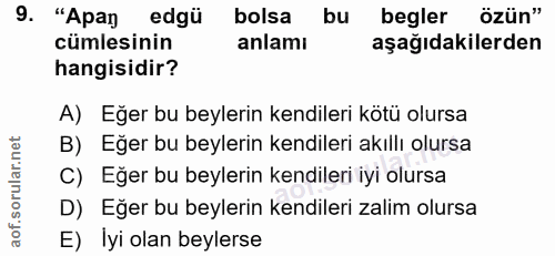 9. soru: "Apan edgü bolsa bu begler özün" cümlesinin anlamı aşağıdakilerden hangisidir? A) Eğer bu beylerin kendileri kötü olu…