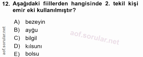 12. soru: Aşağıdaki fiillerden hangisinde 2. tekil kişi emir eki kullanılmıştır? A) bezeyin B) ауди C) bilgil D) kılsunı E) bolsu