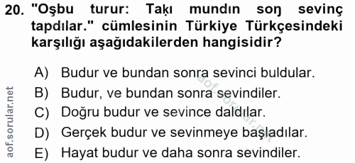 20. soru: "Oşbu turur: Takı mundın son sevinç tapdılar." cümlesinin Türkiye Türkçesindeki karşılığı aşağıdakilerden hangisidir?…