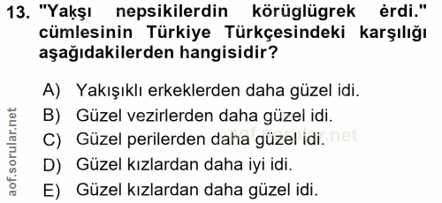 13. soru: "Yakşı nepsikilerdin körüglügrek erdi." cümlesinin Türkiye Türkçesindeki karşılığı aşağıdakilerden hangisidir? A) Yak…