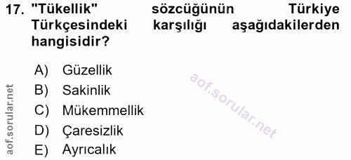17. soru: "Tükellik" sözcüğünün Türkiye Türkçesindeki karşılığı aşağıdakilerden hangisidir? A) Güzellik B) Sakinlik C) Mükemmel…
