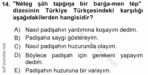 14. soru: "Néteg şãh tapğına bir barga-men tép" dizesinin Türkiye Türkçesindeki karşılığı aşağıdakilerden hangisidir? A) Nasıl…