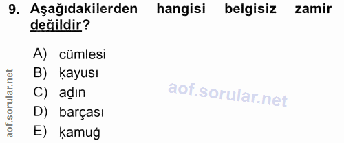 9. soru: Aşağıdakilerden hangisi belgisiz zamir değildir? A) cümlesi B) kayusı C) adın D) barçası aof. E) kamuğ
