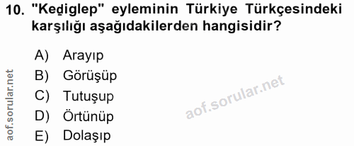 10. soru: "Kediglep" eyleminin Türkiye Türkçesindeki karşılığı aşağıdakilerden hangisidir? A) Arayıp B) Görüşüp C) Tutuşup D) Ö…