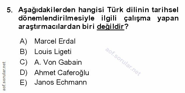 5. soru: Aşağıdakilerden hangisi Türk dilinin tarihsel dönemlendirilmesiyle ilgili çalışma yapan araştırmacılardan biri değild…