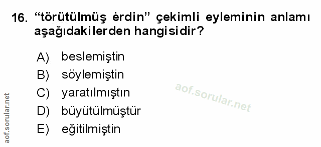 16. soru: "törütülmüş erdin" çekimli eyleminin anlamı aşağıdakilerden hangisidir? A) beslemiştin B) söylemiştin C) yaratılmıştı…