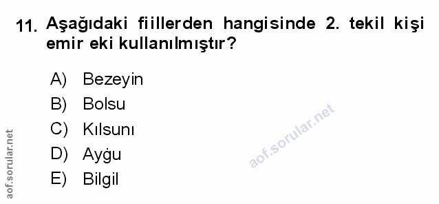 11. soru: Aşağıdaki fiillerden hangisinde 2. tekil kişi emir eki kullanılmıştır? A) Bezeyın B) Bolsu C) Kılsunı D) Aygu E) Bilgil