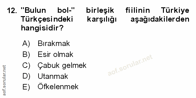 12. soru: "Bulun bol-" birleşik fiilinin Türkiye Türkçesindeki karşılığı aşağıdakilerden hangisidir? A) Bırakmak B) Esir olmak…