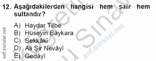 12. soru: Aşağıdakilerden K hangisi hem şair hem sultandir? A) Haydar Tilbe B) Hüseyin Baykara C) Sekkâki D) Ali Şir Nevâyî E)…
