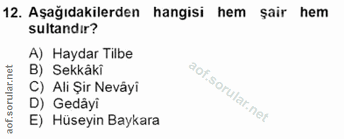 12. soru: Aşağıdakilerden hangisi hem şair hem sultandır? A) Haydar Tilbe B) Sekkâkî C) Ali Şir Nevâyî D) Gedâyi E) Hüseyin Bay…