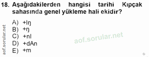 18. soru: Aşağıdakilerden hangisi tarihi Kıpçak sahasında genel yükleme hali ekidir? A) +In B) +n C) +nl D) +dAn E) +m