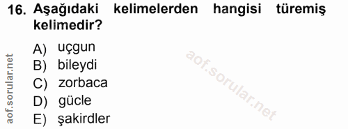 16. soru: Aşağıdaki kelimelerden hangisi türemiş kelimedir? A) uçgun B) bileydi aof.sorular.nei C) zorbaca D) gücle E) şakirdler