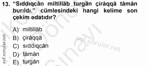 13. soru: "Sıddıqcån miltilläb turgän çiråqqä tåmån burıldı." cümlesindeki hangi kelime son çekim edatıdır? A) miltilläb B) çir…