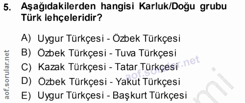 5. soru: Aşağıdakilerden hangisi Karluk/Doğu grubu Türk lehçeleridir? A) Uygur Türkçesi - Özbek Türkçesi B) Özbek Türkçesi - T…