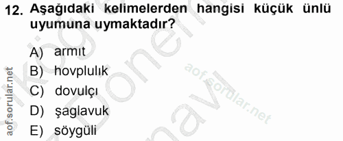 12. soru: Aşagıdakı kelimelerden hangisi küçük ünlü uyumuna uymaktadır? A) armit B) hovplulik C) dovulçı aof sorülar.net / D) ş…