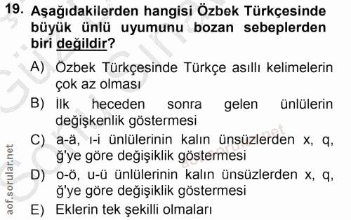 19. soru: Aşağıdakilerden hangisi Özbek Türkçesinde büyük ünlü uyumunu bozan sebeplerden biri değildir? A) Özbek Türkçesinde Tü…