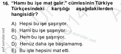 16. soru: "Hamı bu işe mat galır." cümlesinin Türkiye Türkçesindeki karşılığı aşağıdakilerden hangisidir? B) Hami bu ışe şaşırı…