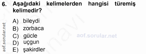 6. soru: Aşağıdaki kelimelerden hangisi türemiş kelimedir? A) bileydi B) zorbaca C) gücle uçgun E) şakirdler