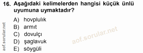 16. soru: Aşağıdaki kelimelerden hangisi küçük ünlü uyumuna uymaktadır? A) hovplulik B) armıt C) davulçı D) şaglavuk E) söygüli