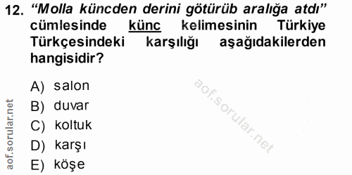 12. soru: "Molla küncden derini götürüb aralığa atdı" cümlesinde künc kelimesinin Türkiye Türkçesindeki karşılığı aşağıdakilerd…