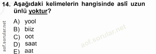 14. soru: Aşağıdaki kelimelerin hangisinde aslî uzun ünlü yoktur? A) yool B) biiz C) oot D) saat E) aat