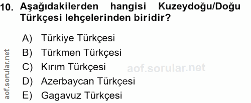 10. soru: Aşağıdakilerden hangisi Kuzeydoğu/Doğu Türkçesi lehçelerinden biridir? A) Türkiye Türkçesi B) Türkmen Türkçesi C) Kır…
