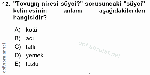 12. soru: "Tovugin niresi süyci?" sorusundaki "süyci" kelimesinin anlamı aşağıdakilerden hangisidir? A) kötü B) acı C) tatlı D)…