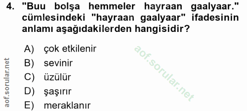 4. soru: "Buu bolşa hemmeler hayraan gaalyaar." cümlesindeki "hayraan gaalyaar" ifadesinin anlamı aşağıdakilerden hangisidir?…