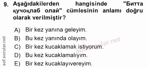 9. soru: Aşağıdakilerden hangisinde "Битта кучоклаб олай" cümlesinin anlamı doğru olarak verilmiştir? A) Bir kez yanına geleyi…
