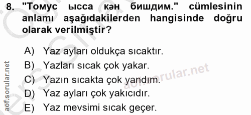 8. soru: "Томус ысса кан бишдим." cümlesinin anlamı aşağıdakilerden hangisinde doğru olarak verilmiştir? A) Yaz ayları oldukça…