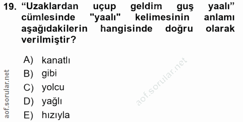 19. soru: "Uzaklardan uçup geldim guş yaalı" cümlesinde "yaalı" kelimesinin anlamı aşağıdakilerin hangisinde doğru olarak veril…