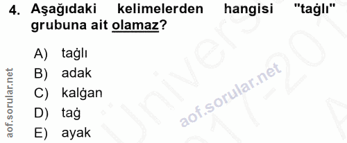 4. soru: Aşağıdaki kelimelerden hangisi "taglı" grubuna ait olamaz? A) tagli adak C) kalğan D) tag E) ayak