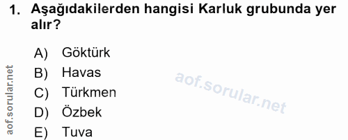 1. soru: Aşağıdakilerden hangisi Karluk grubunda yer alır? A) Göktürk B) Havas C) Türkmen D) Özbek E) Tuva