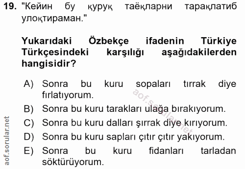 19. soru: "Кейин бу курук таёкларни тараклатиб улоктираман." Yukarıdaki Özbekçe ifadenin Türkiye Türkçesindeki karşılığı aşağıd…