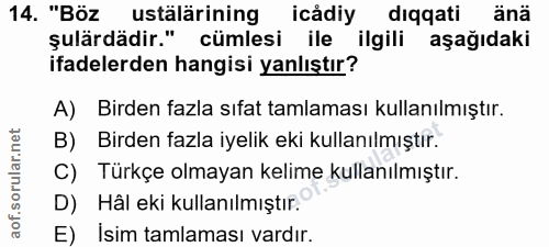 14. soru: "Böz ustälärining icădiy diqqati änä şulärdädir." cümlesi ile ilgili aşağıdaki ifadelerden hangisi yanlıştır? A) Bird…