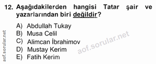 12. soru: Aşağıdakilerden hangisi Tatar şair ve ve yazarlarından biri değildir? A) Abdullah Tukay B) Musa Celil C) Alimcan İbra…