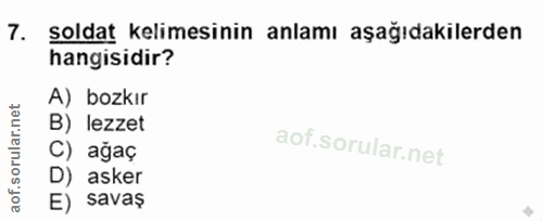 7. soru: soldat kelimesinin anlamı aşağıdakilerden hangisidir? A) bozkır B) lezzet C) ağaç D) asker E) savaş