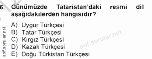 6. soru: Günümüzde Tataristan'daki resmi dil aşağıdakilerden hangisidir? A) Uygur Türkçesi B) Tatar Türkçesi C) Kırgız Türkçes…