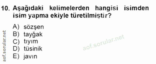 10. soru: Aşağıdaki kelimelerden hangisi isimden isim yapma ekiyle türetilmiştir? A) sözşen B) tayğak C) tıyım D) tüsinik E) javın