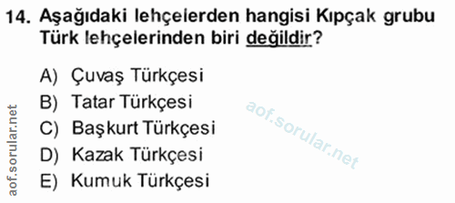 14. soru: Aşağıdaki lehçelerden hangisi Kıpçak grubu Türk lehçelerinden biri değildir? A) Çuvaş Türkçesi B) Tatar Türkçesi C) B…