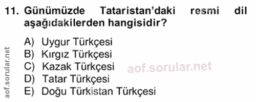 11. soru: Günümüzde Tataristan' daki resmi dil aşağıdakilerden hangisidir? A) Uygur Türkçesi B) Kırgız Türkçesi C) Kazak Türkçe…