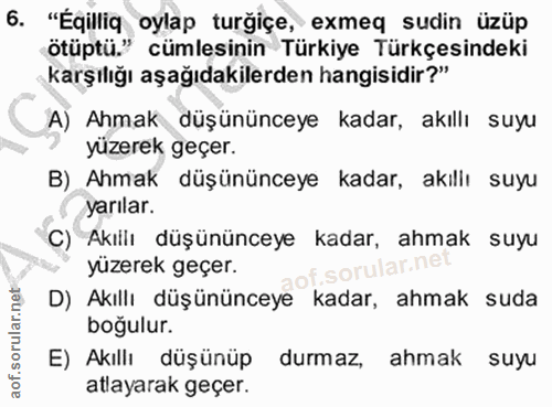 6. soru: "Éqilliq oylap turğiçe, exmeq sudin üzüp ötüptü." cümlesinin Türkiye Türkçesindeki karşılığı aşağıdakilerden hangisid…