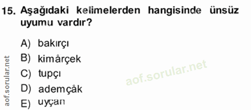 15. soru: Aşağıdaki kelimelerden hangisinde ünsüz uyumu vardır? A) bakırçı B) kimårçek C) tupçı D) ademçåk E) uyçan